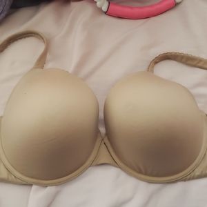 Body by Victoria bra